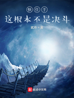 快住手!这根本不是决斗!