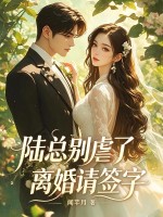 陆总别虐了,离婚请签字